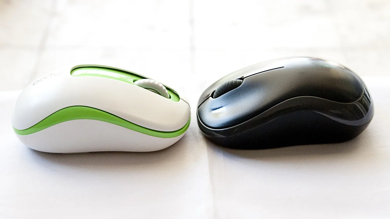 Souris Sans Fil